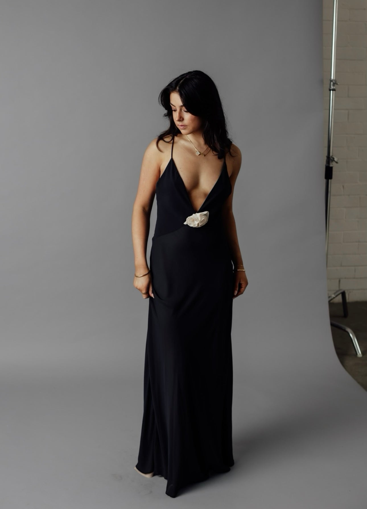 Helsa studio sheer deep V long slip dress